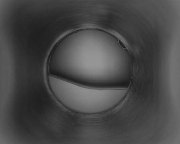 X0000100951142200806241117