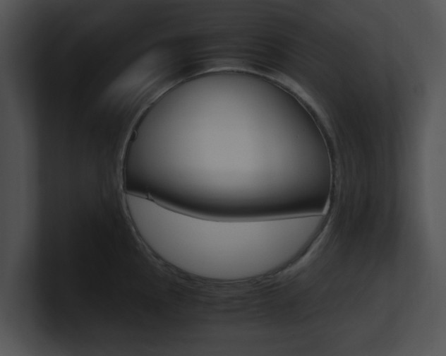 X0000100951145200806241117