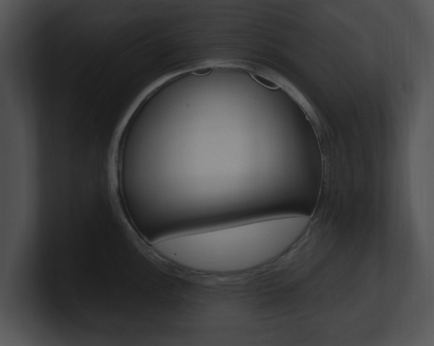 X0000100951148200806241117