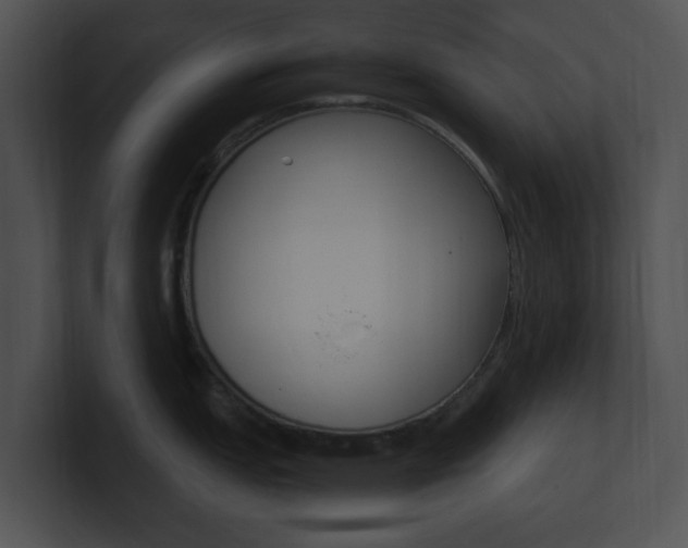 X0000100951151200806241117