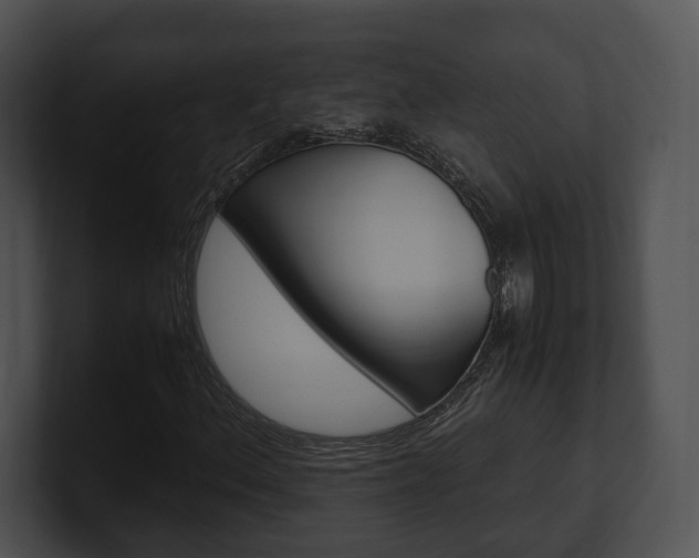 X0000100951156200806241117