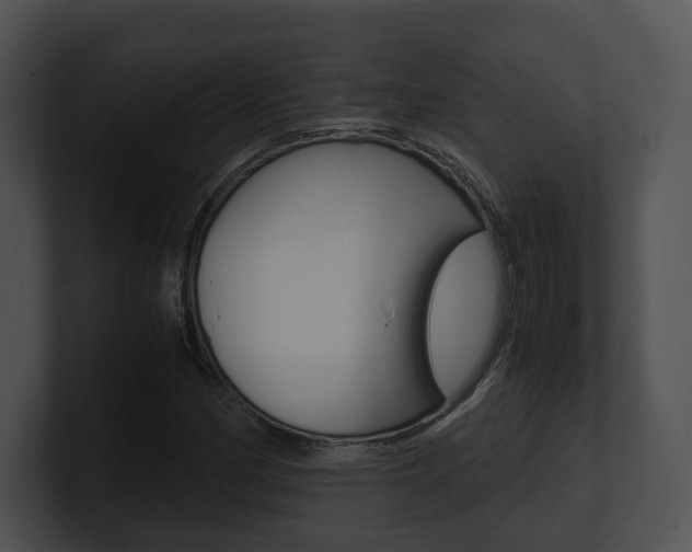 X0000100951162200806241117