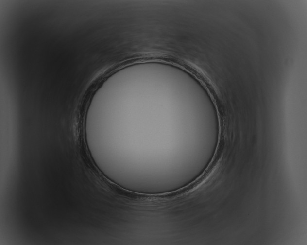 X0000100951163200806241117
