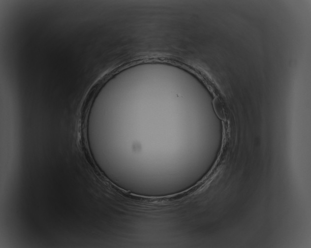 X0000100951165200806241117