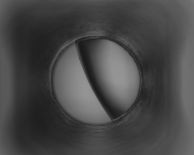 X0000100951168200806241117