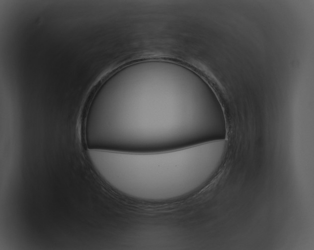 X0000100951173200806241116