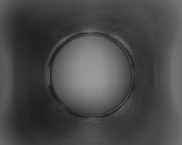 X0000100951175200806241116