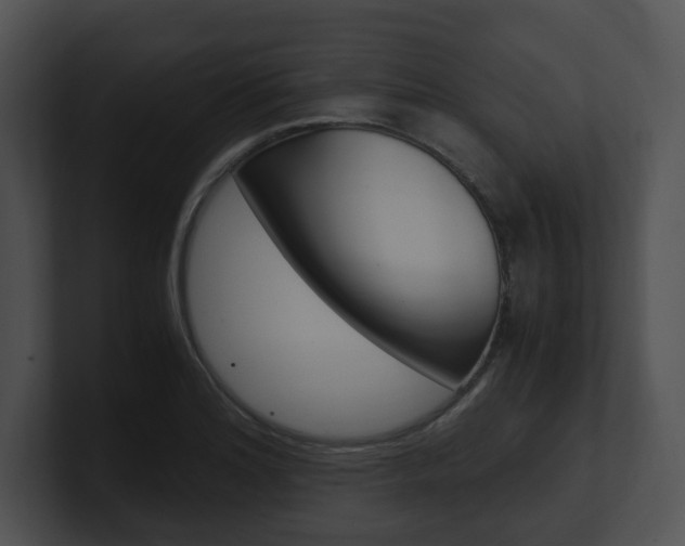 X0000100951180200806241116