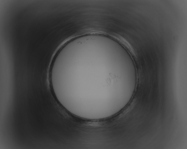 X0000100951182200806241116