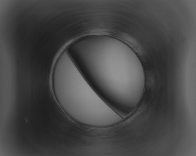 X0000100951188200806241116