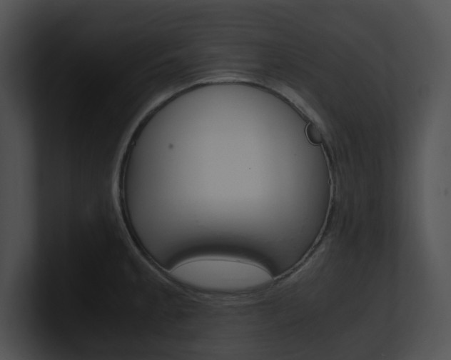 X0000100951189200806241116