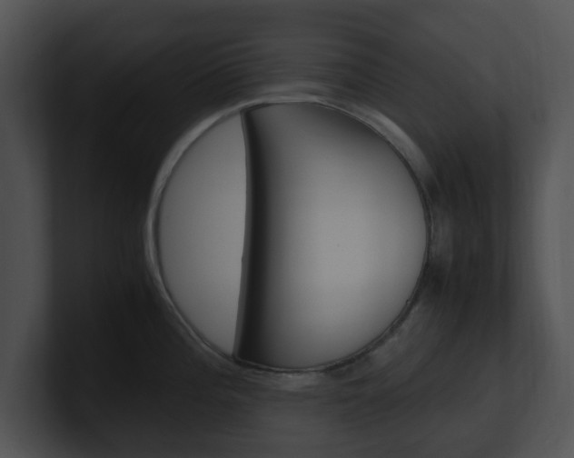 X0000100951196200806241116