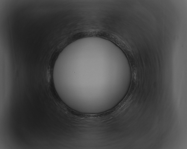 X0000100951204200806241115