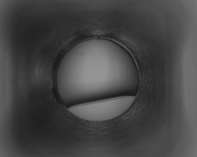 X0000100951205200806241115