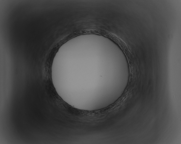 X0000100951207200806241115