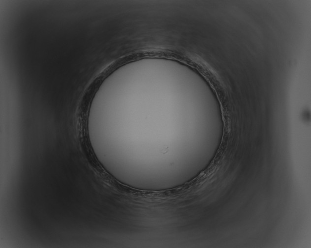 X0000100951208200806241115