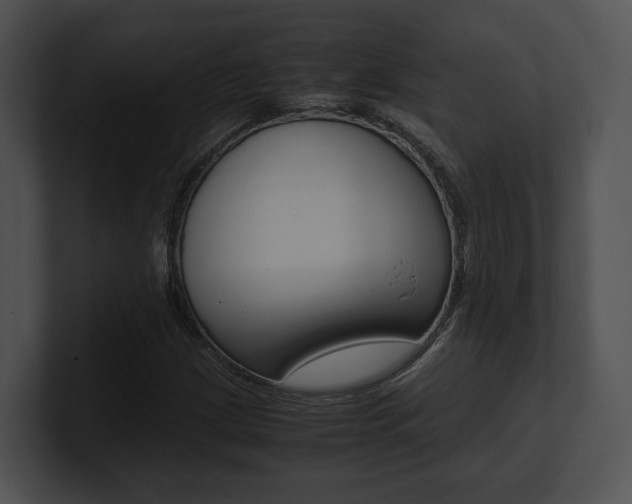 X0000100951209200806241115