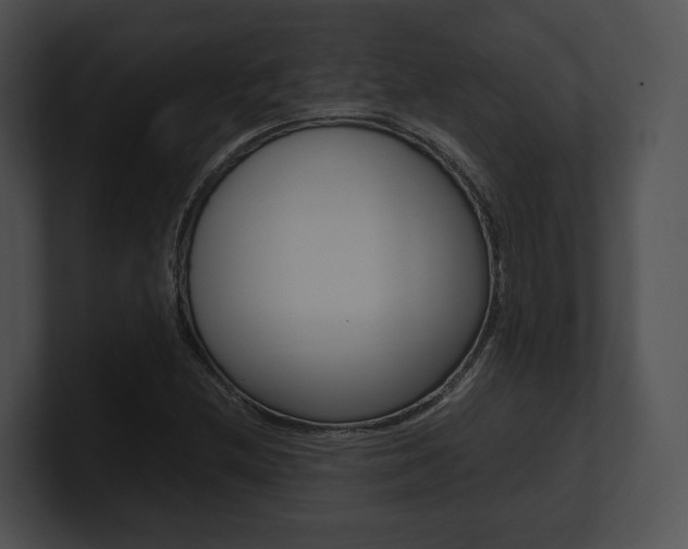 X0000100951212200806241116
