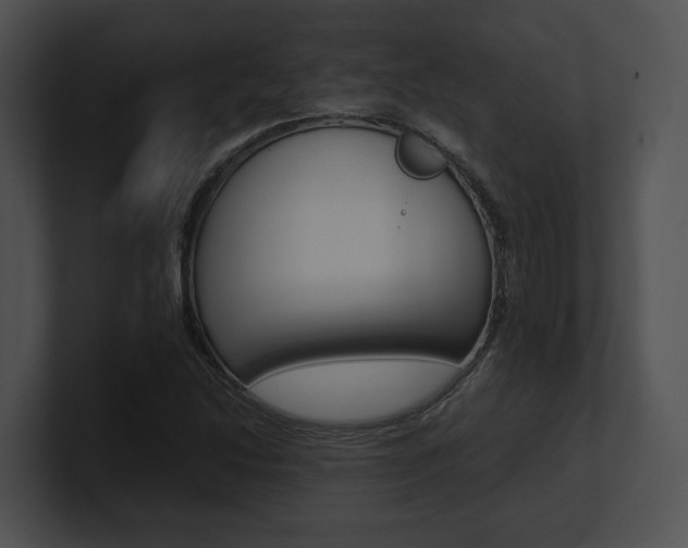 X0000100951214200806241116