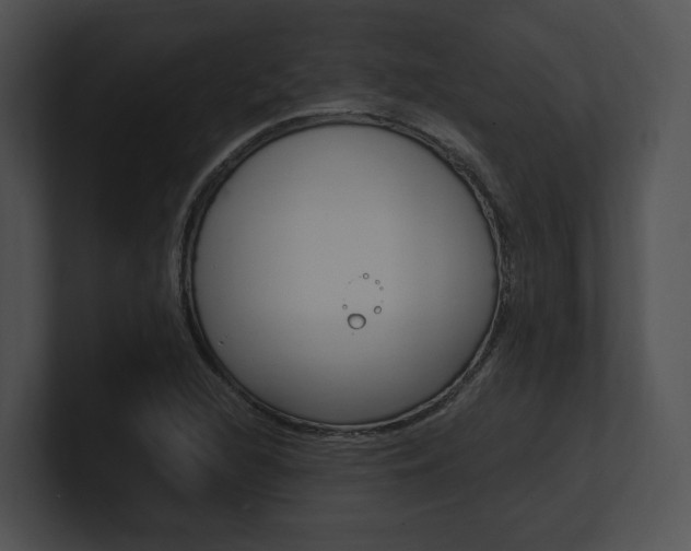 X0000100951216200806241116