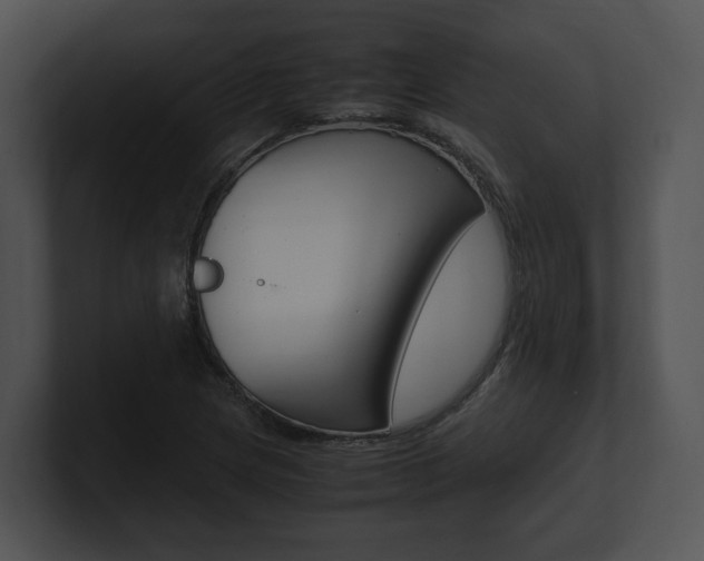 X0000100951217200806241116