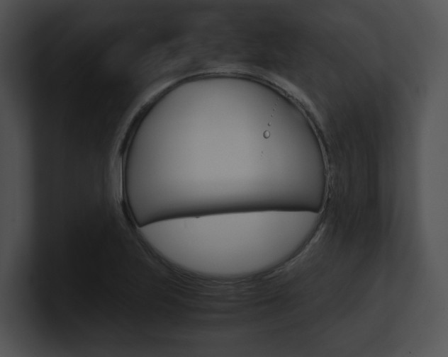 X0000100951223200806241116