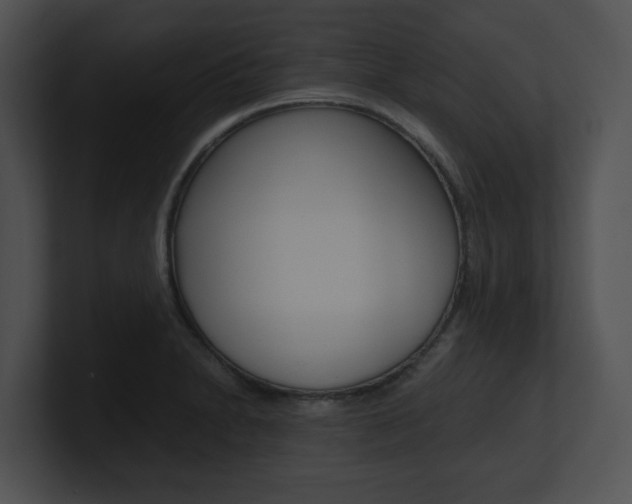 X0000100951230200806241116