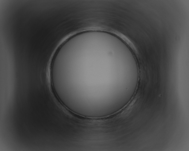 X0000100951238200806241116