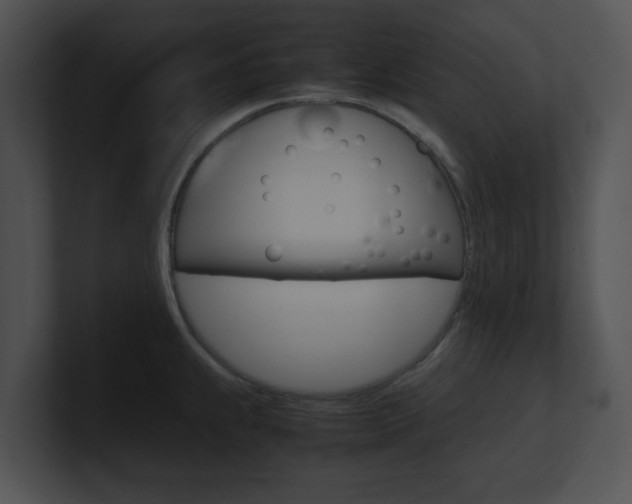 X0000100951239200806241116