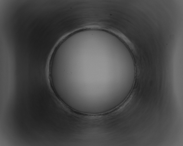 X0000100951240200806241116