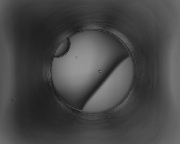 X0000100951241200806241116