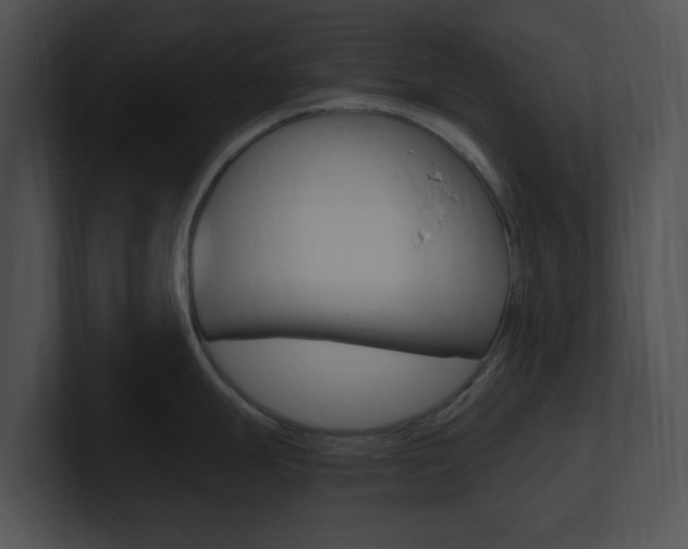 X0000100951247200806241116