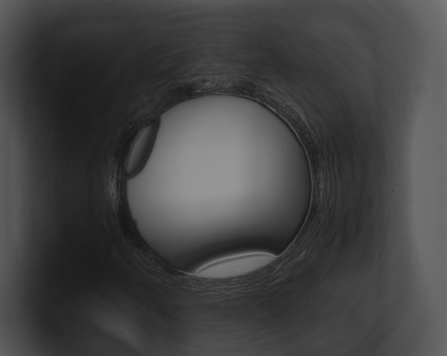 X0000100951250200806241115