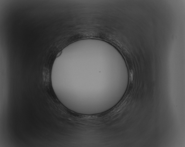 X0000100951251200806241115