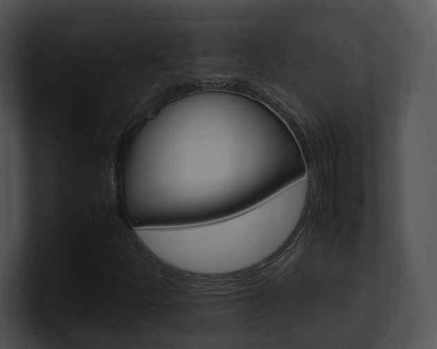 X0000100951252200806241115