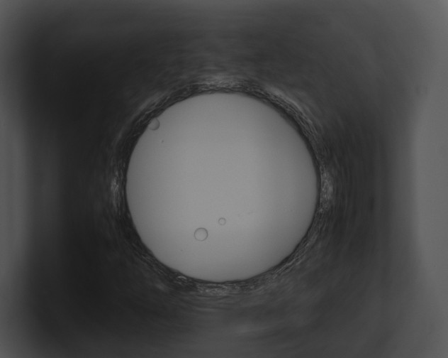 X0000100951254200806241115