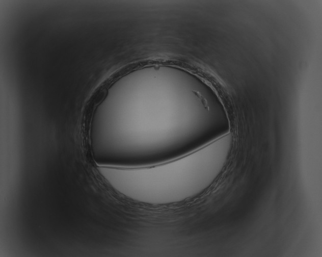 X0000100951256200806241115