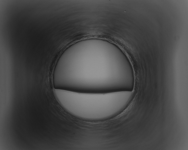 X0000100951257200806241115