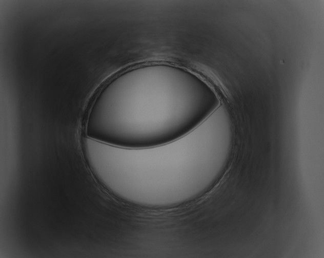 X0000100951260200806241115