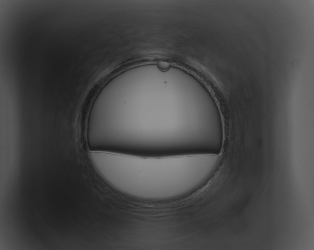 X0000100951261200806241115