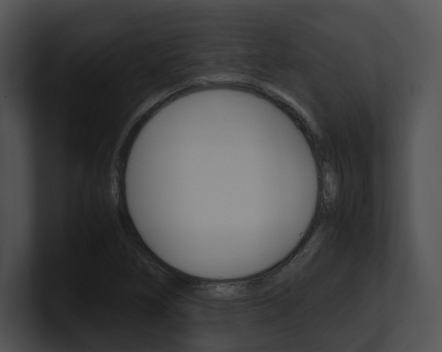 X0000100951266200806241115