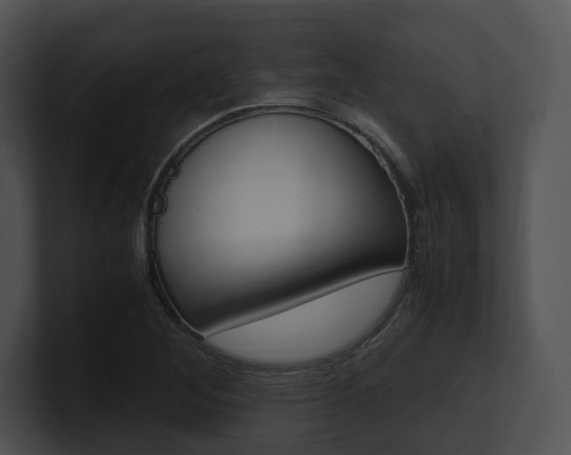 X0000100951268200806241115