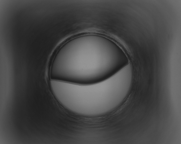 X0000100951272200806241115
