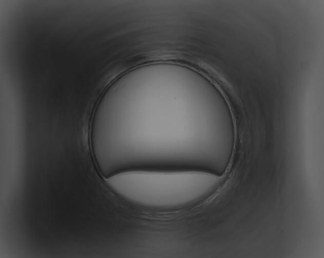 X0000100951273200806241115