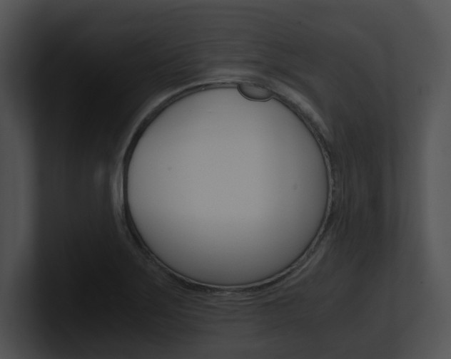 X0000100951275200806241115