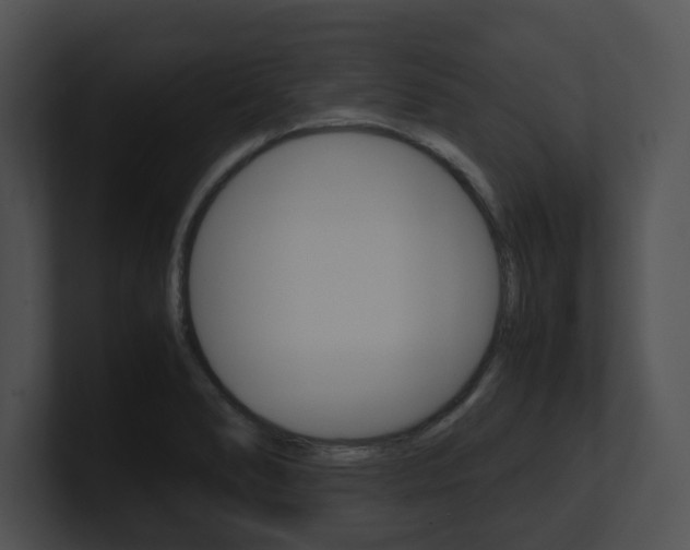 X0000100951278200806241115