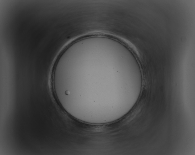 X0000100951279200806241115