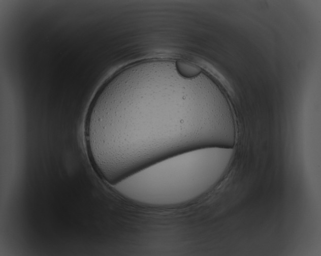 X0000100951283200806241115