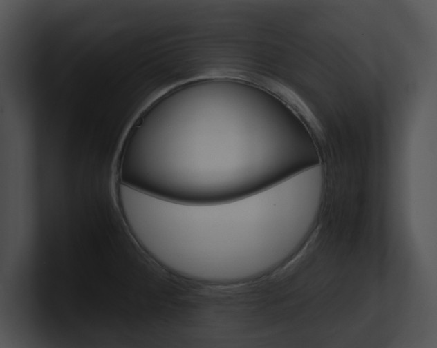 X0000100951284200806241115