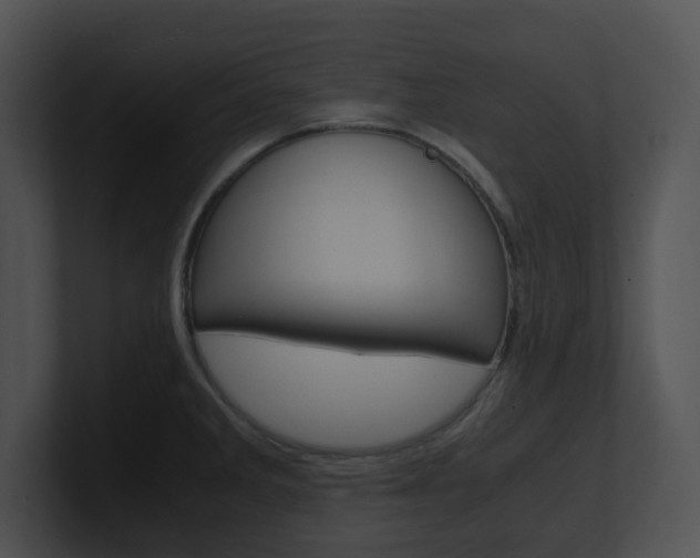 X0000100951285200806241115